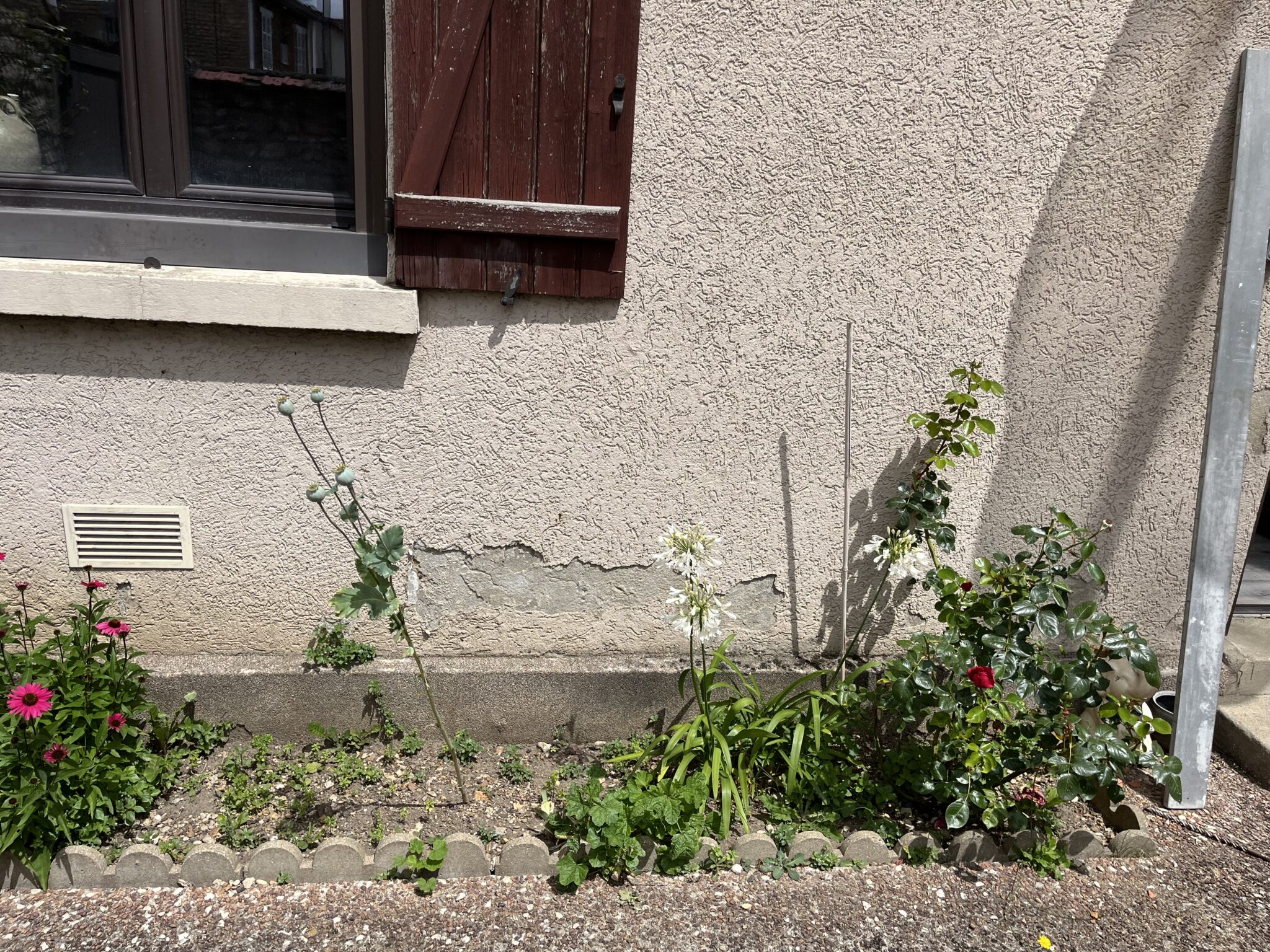 Remontées capillaires - Home Humid